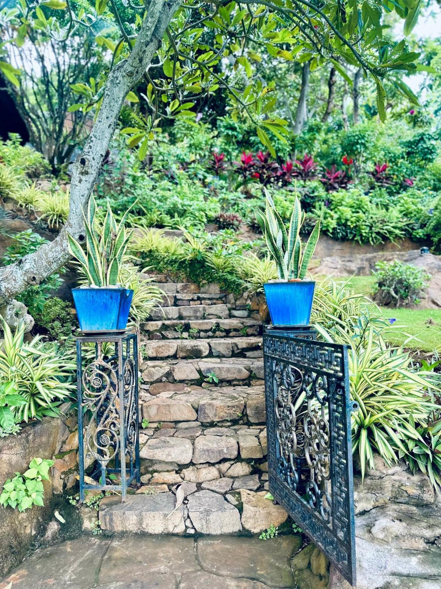 Binh An Village Вунгтау Екстер'єр фото